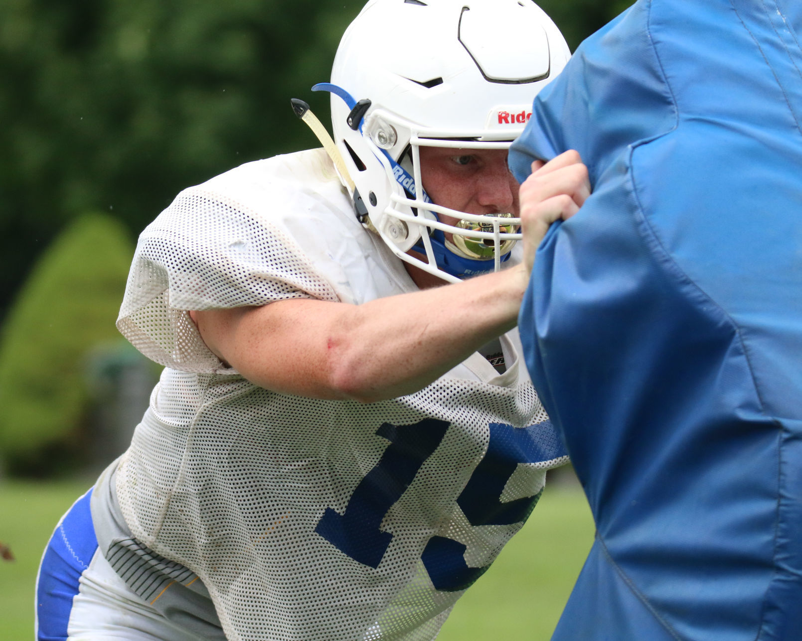 Catholic Central Football